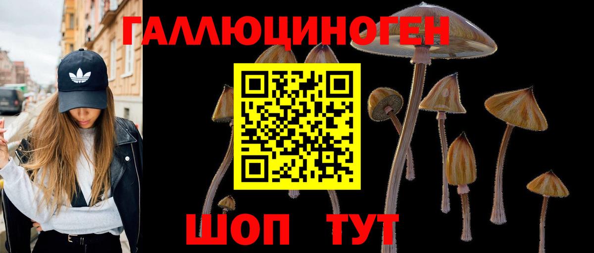Псилоцибиновые грибы мухоморы  Вход с VPN  наркотики  Мытищи 